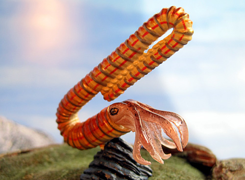 �|���v�e�B�R�Z���X