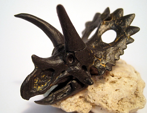 �A���L�P���g�v�X����