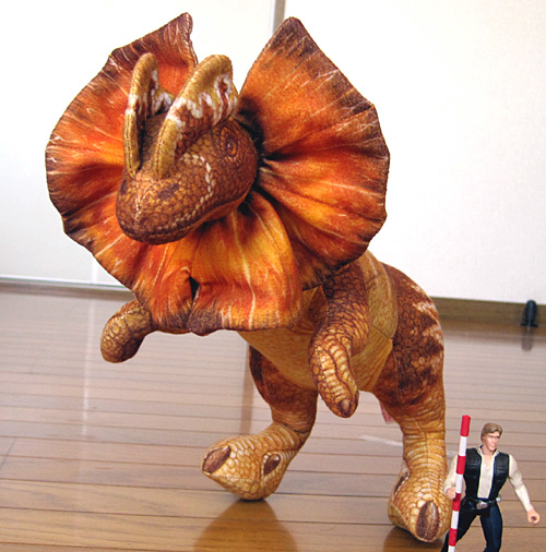 �f�B���t�H�T�E���X