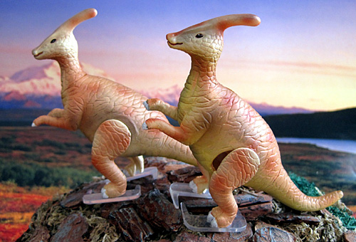 �p���T�E�����t�X