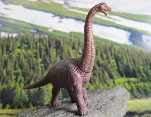 �u���L�I�T�E���X