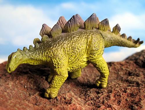 �X�e�S�T�E���X