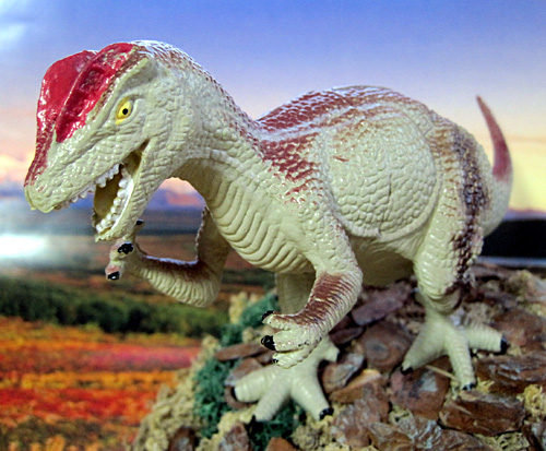 �f�B���t�H�T�E���X