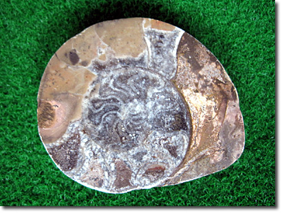 �A�����i�C�g