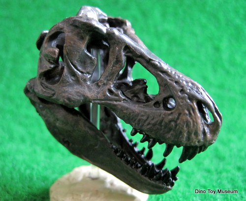 �e�B���m�T�E���X����