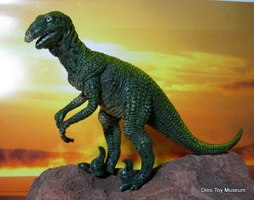 �f�B�m�j�N�X