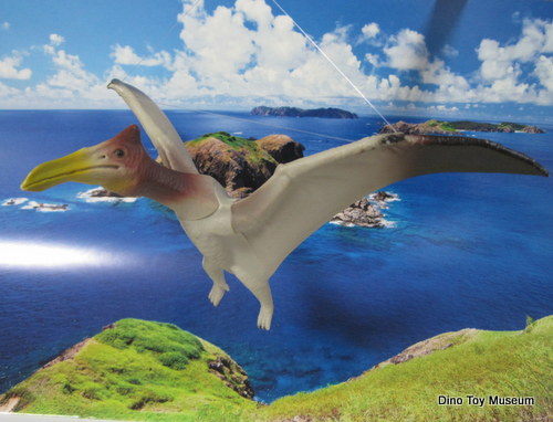 �P�c�@���R�A�g���X