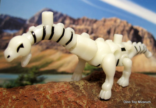 �`���A���W�G�T�E���X 