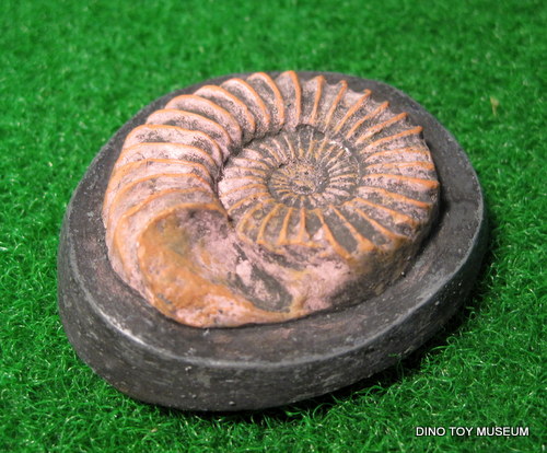 �A�����i�C�g