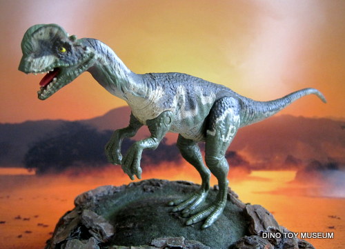 �f�B���t�H�T�E���X