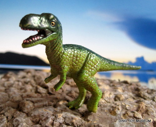 �e�B���m�T�E���X