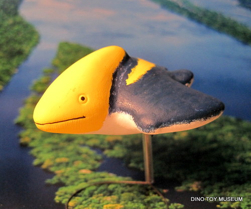 �v�e���m�h��