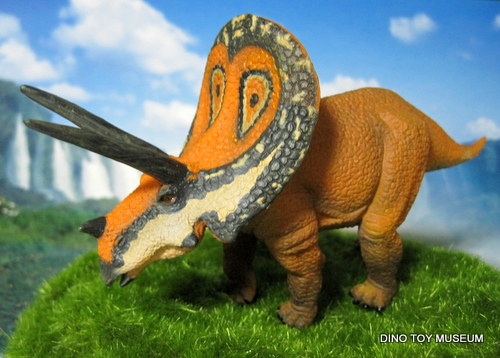 151号室-09　コレクタ　トロサウルス　Torosaurus