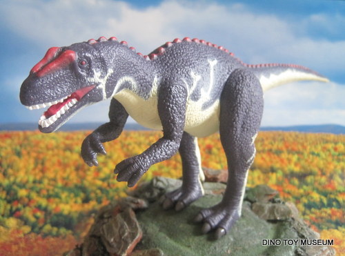 �����`���A�m�T�E���X