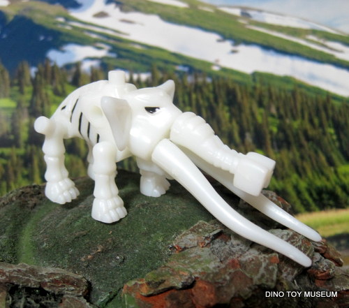 �A�i���N�X