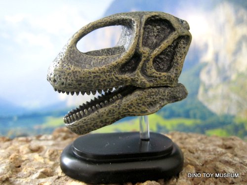 �g�D���A�T�E���X