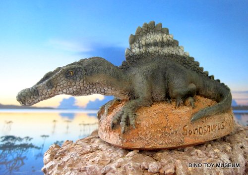 �X�s�m�T�E���X