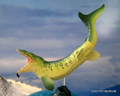 ���T�T�E���X