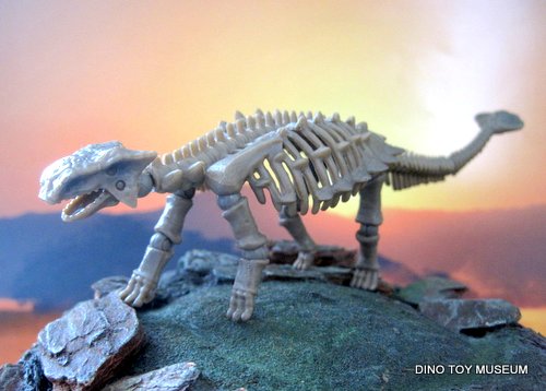 �A���L���T�E���X