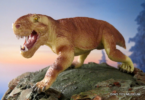 �C�m�X�g�����P�r�A