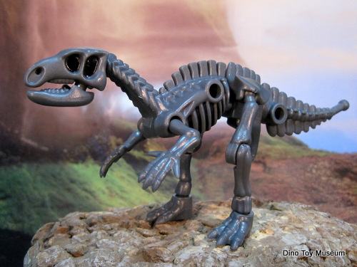 �t�N�C�T�E���X