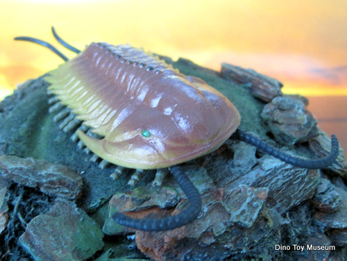 �I���m�C�f�X