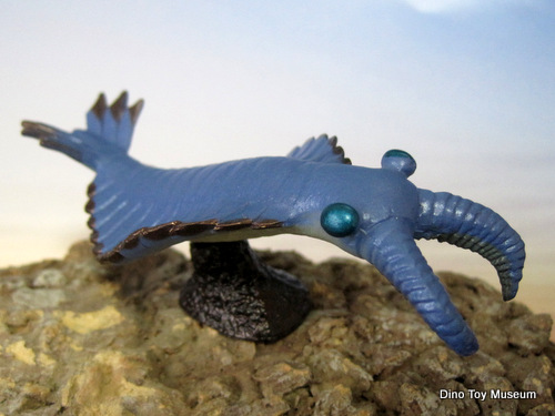 �A�m�}���J���X