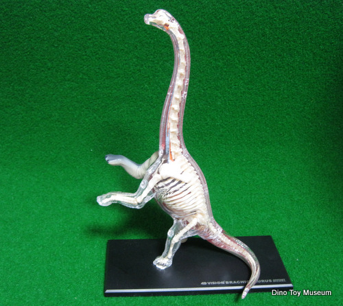 �u���L�I�T�E���X