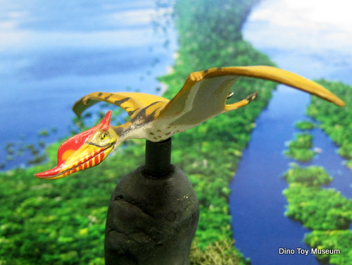 �Y���K���v�e���X