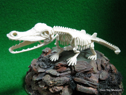 �A���Q�[�^�[