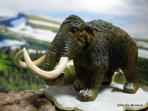 �ጴ�������I