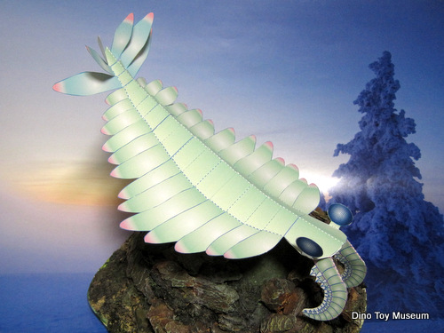 �A�m�}���J���X