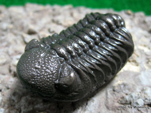 �O�t���}�O�l�b�g