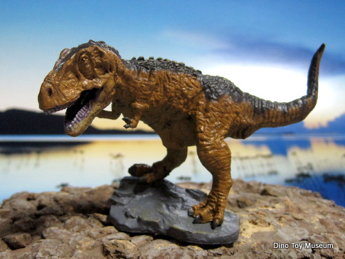 �e�B���m�T�E���X