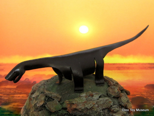 �Z�C�X���T�E���X