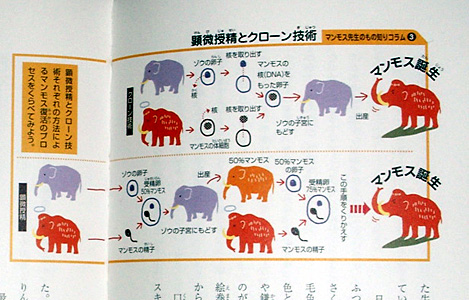 �}�����X��������