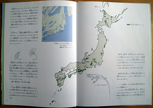 ���{�̋���