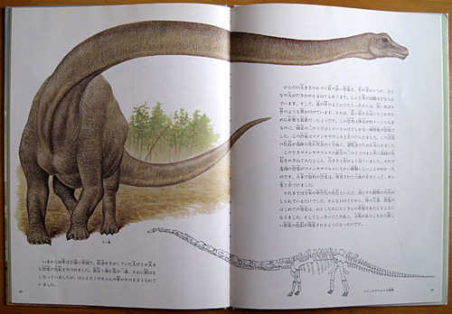 ���{�̋���