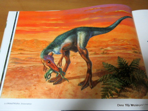 ����N���@������W